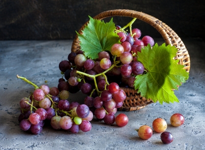 A handful of green grapes hanging.